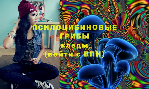 мдпв Арсеньев