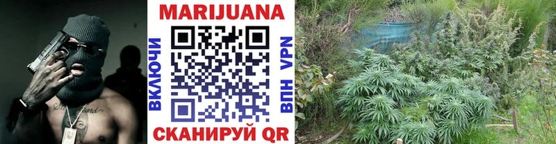 Шишки марихуана White Widow хочу наркоту Минеральные Воды